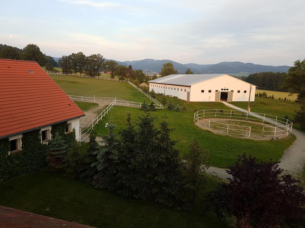 Folwark Leszczynowka Villa Srebrna Gora Exterior photo